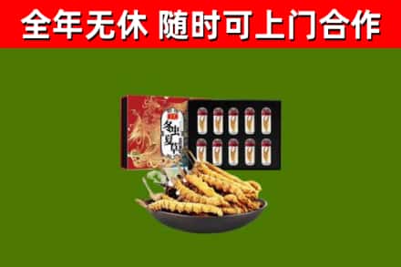 建邺区烟酒回收冬虫夏草礼盒.jpg